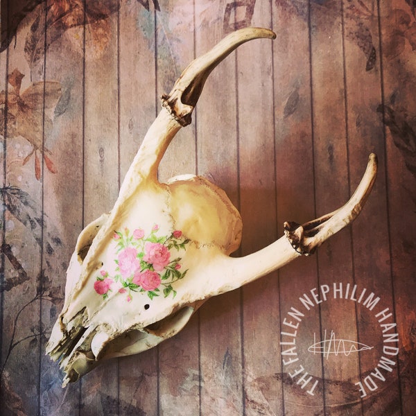 Monk Jack Deer Skull Curiosity Display Piece, Curio Cabinet Oddities Oddity, Taxidermy Bone Gift, pink flowers