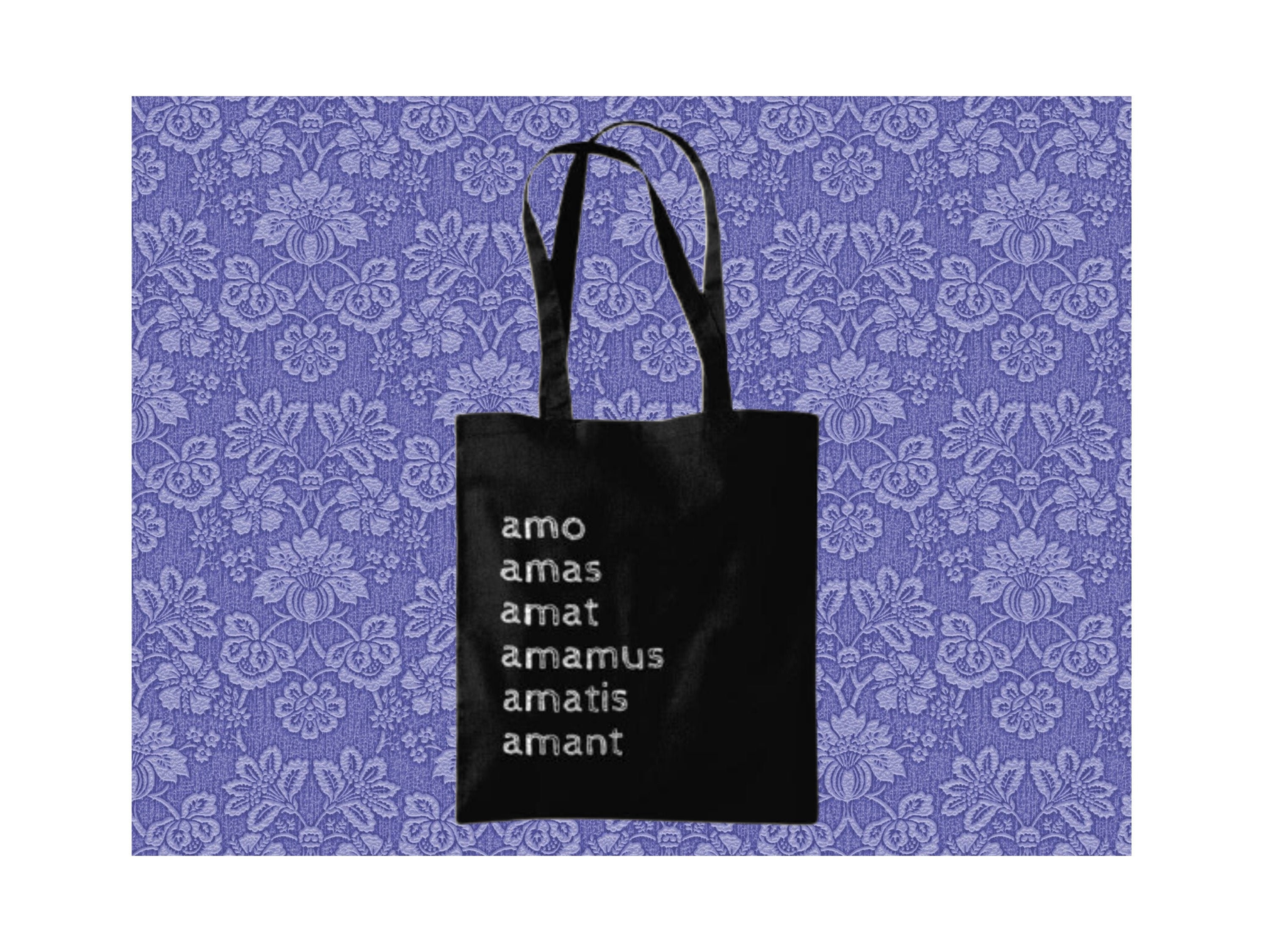 Latin Phrases Gift, Amo Amas Amat, Latin Tote Bag, Classics Gift
