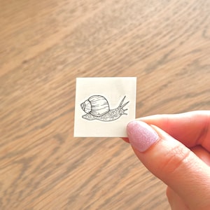 Puede incluir: Un dibujo en blanco y negro de un caracol en una tarjeta blanca.