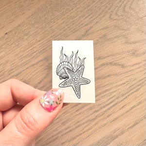 May include: A black and white line drawing of a starfish and seashell on a white background.