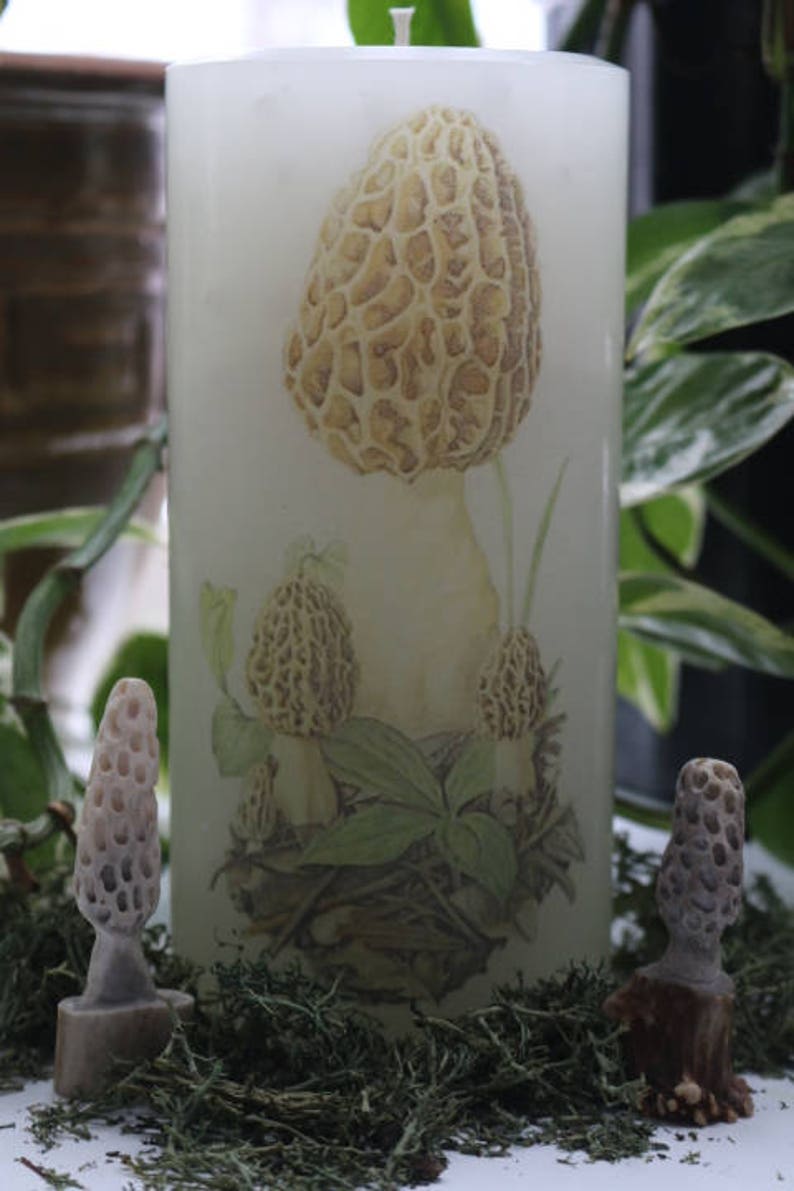 Morel Mushroom Candle Etsy