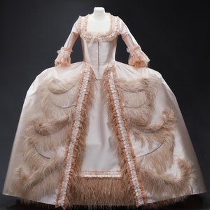 robe a la française rococo dres ball gown costume fancy 18th Century