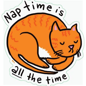 Nap Time is ALL the Time cute cat vinyl sticker image 3