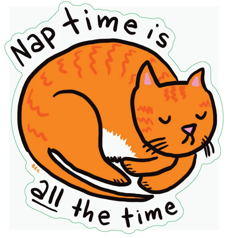 Nap Time is ALL the Time cute cat vinyl sticker image 3
