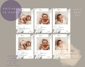 EDITABLE Onederful First Year Photos Banner|  1st Birthday Milestone Cards | Baby's First Year |  Monthly Photo | First Birthday Decor |Girl
