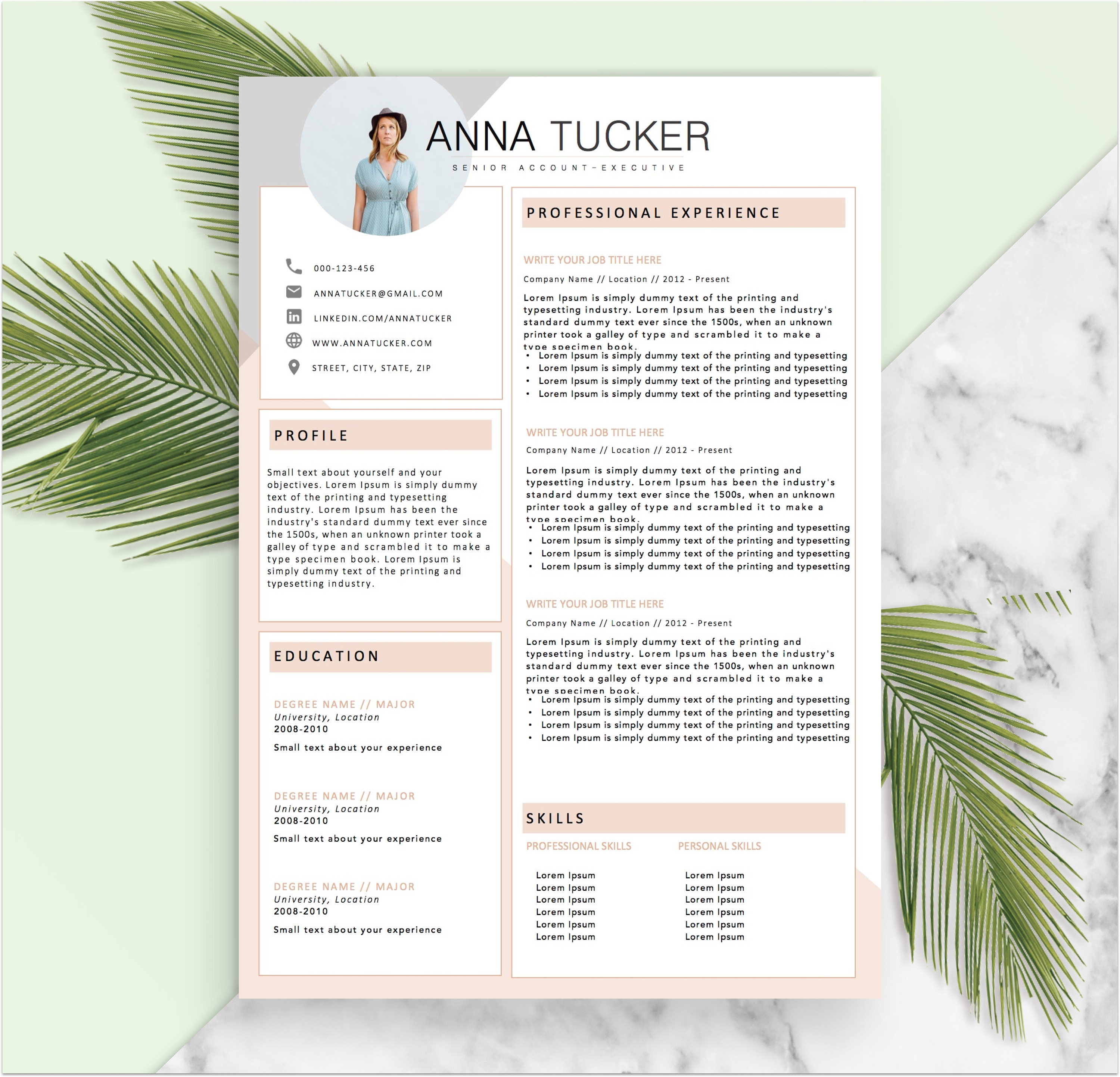modern resume template    cv template professional and