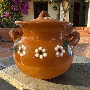 May include: A handcrafted, orange-brown ceramic cooking pot with a lid and two side handles. The pot is decorated with white and black flower designs and green leaves. The pot is sitting on a wooden surface.