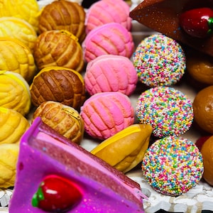 Pan Dulce Coin Purse/pouch/monedero