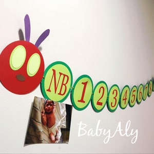 May include: A red and green felt banner with a caterpillar design. The banner has a red head with two large green eyes and a brown nose. The banner also has green circles with the letters "NB" and the numbers 1 through 8 in red. The banner says "Baby Aly" at the bottom.