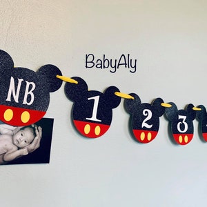 Mickey Photo Banner, Mickey Mouse 12 month photo banner, Mickey Mouse banner, Mickey Mouse birthday decorations, 12 months banner