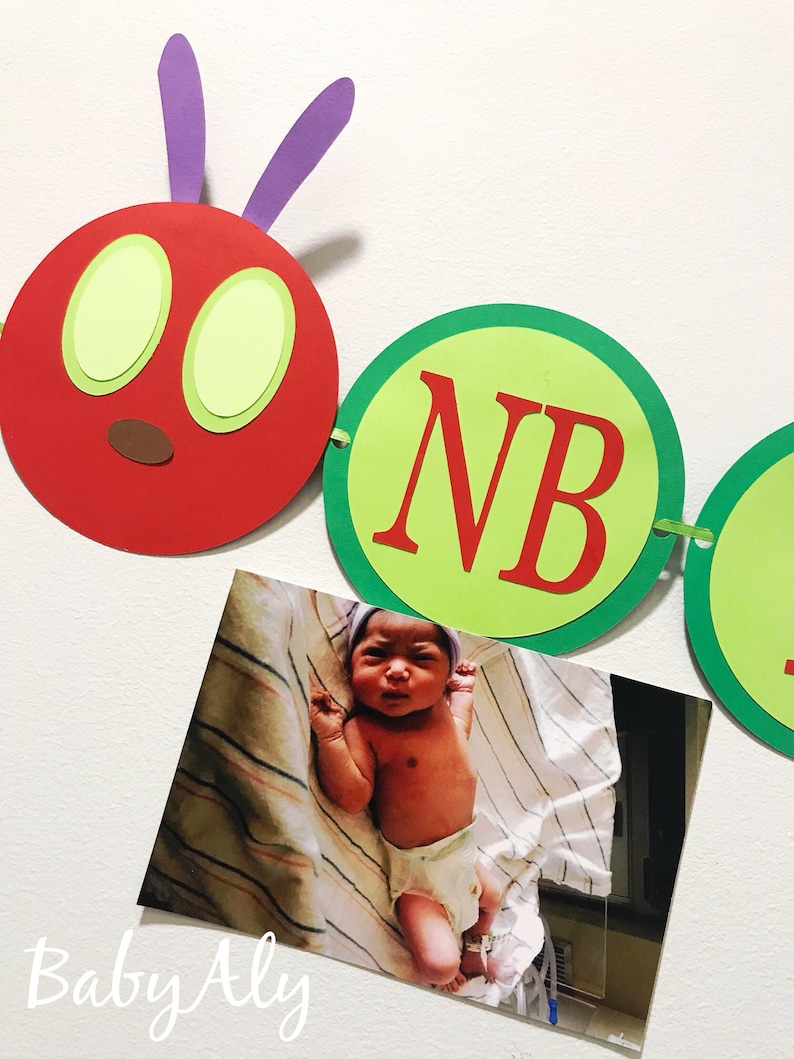 May include: A red, green, and purple paper caterpillar banner with the letters "NB" on one of the segments. A photo of a baby is attached to the banner.