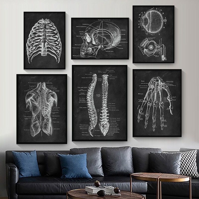 Biology Muscular Skeleton System Posters Custom Sizes and Colours Gift ...