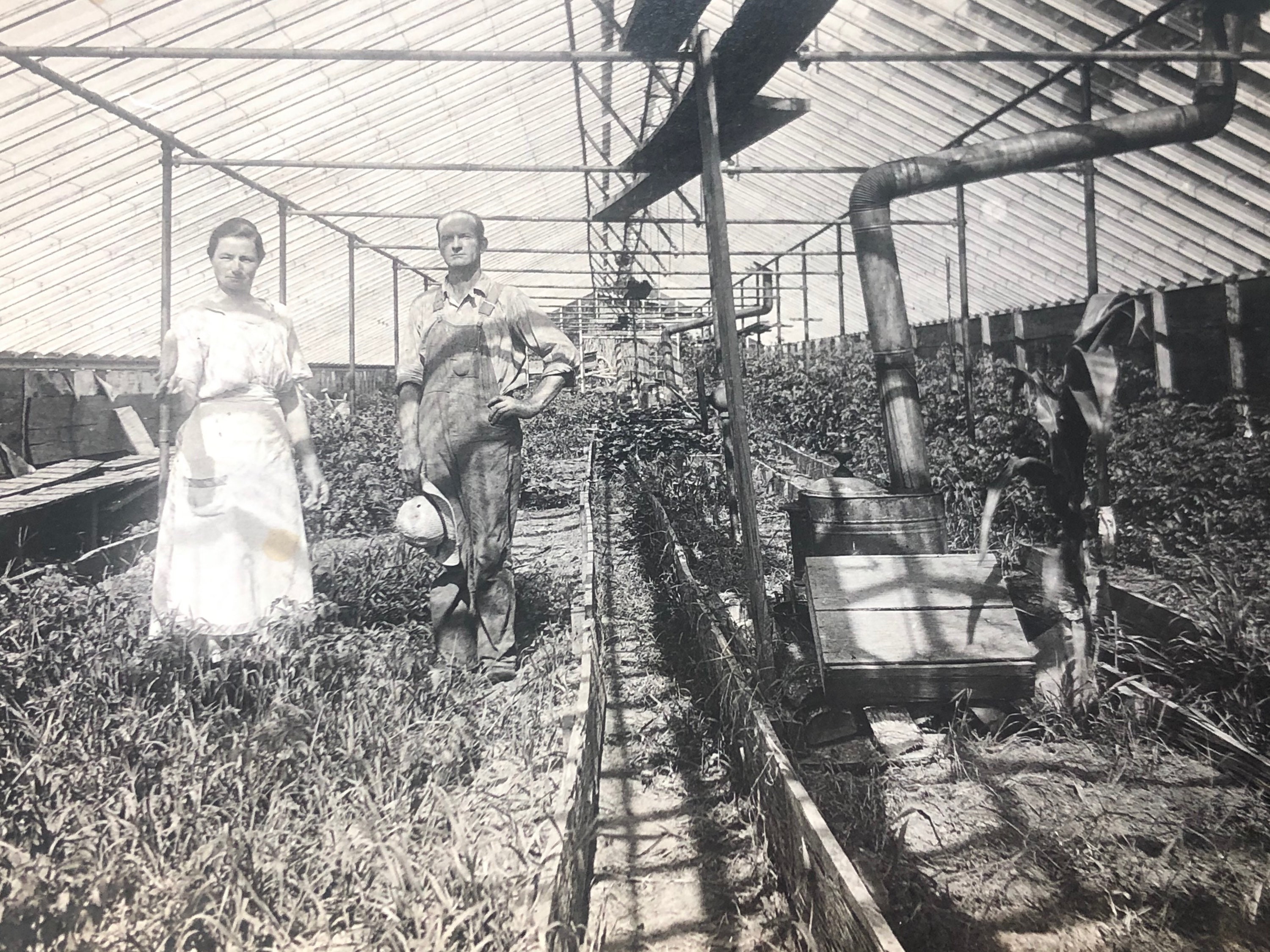 Antique Greenhouse Photo Etsy