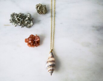 Nature Inspired Boho Jewelry NSG019 Sunshine Daydream Seashell Necklace 14K Gold-filled Stackable Gypsy Talisman Rustic Nautical Charm