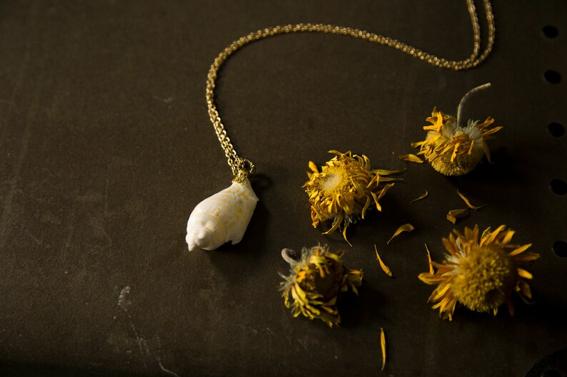 Nature Inspired Boho Jewelry NSG019 Sunshine Daydream Seashell Necklace 14K Gold-filled Stackable Gypsy Talisman Rustic Nautical Charm