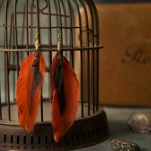 Amber and Passion Red 