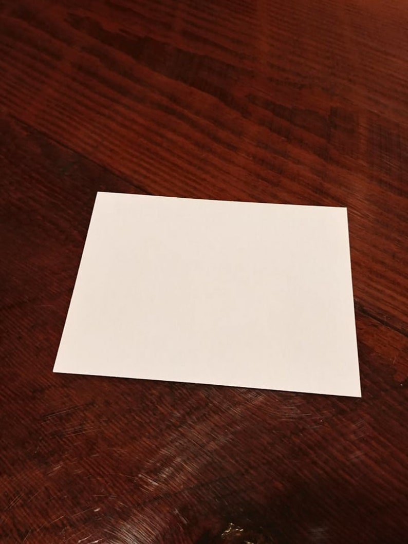 Set of 5 with Envelopes Barnyard Animal Note Free Shipping Horse Greeting Cards 5-Horse Note Cards set