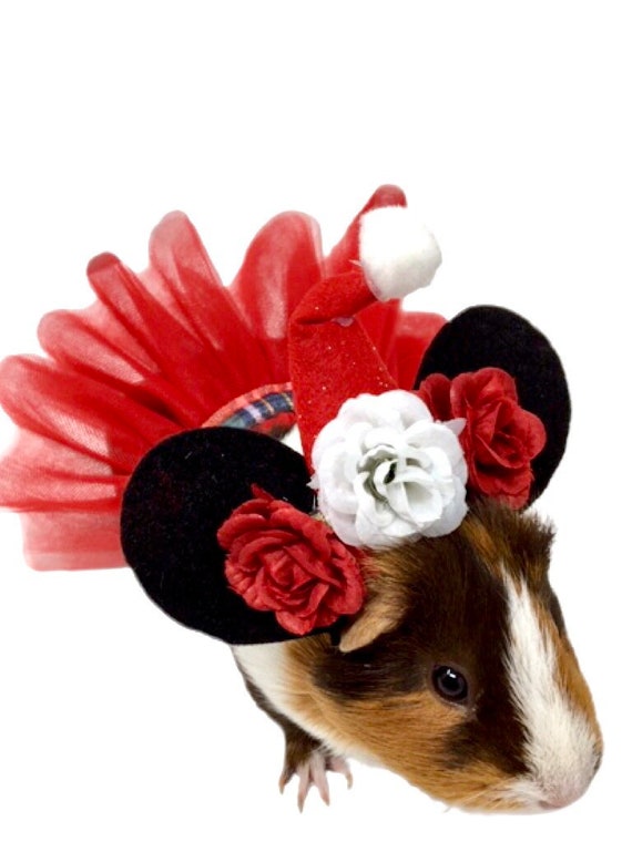 minnie mouse pet costume
