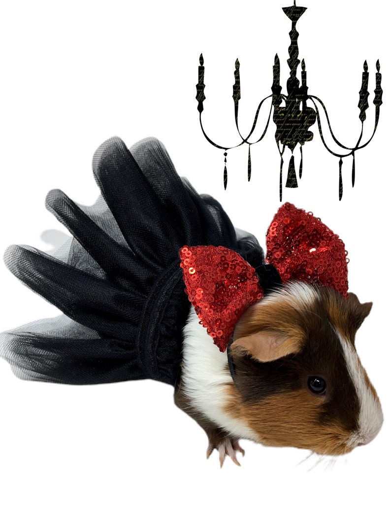 Pet tutu black guinea pig tutu pet wedding tutu small pet image 0