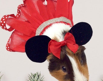 Minnie mouse pet costume/ small pet costume/ Minnie Mouse outfit/ pet birthday/ stocking stuffer ideas