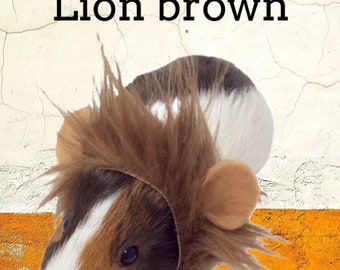 Lion pet costume, guinea pig lion costume, small pet costume, stocking stuffer ideas