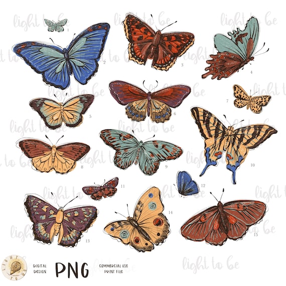 Butterfly PNG, Butterflies Chart vintage retro aesthetic boho trendy popular Sublimation design hand drawn Printable Graphic Clipart Tshirt