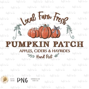 May include: A hand-drawn illustration of a pumpkin patch sign with the text "Local Farm Fresh Pumpkin Patch Apples, Ciders & Hayrides Hand Pick". The sign features three pumpkins with brown stems and green leaves, and a brown ribbon with a bow on each pumpkin.