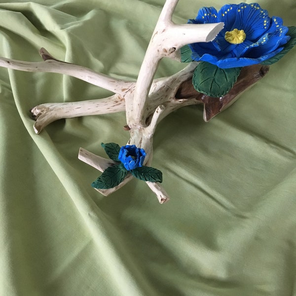 Fleur bleu sur souche de bois naturel