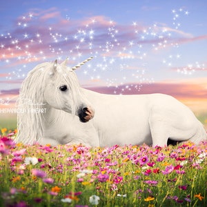 weißes reales Einhorn Hintergrund  | Einhorn Kulisse | Einhorn Photoshop | digitale Kulisse