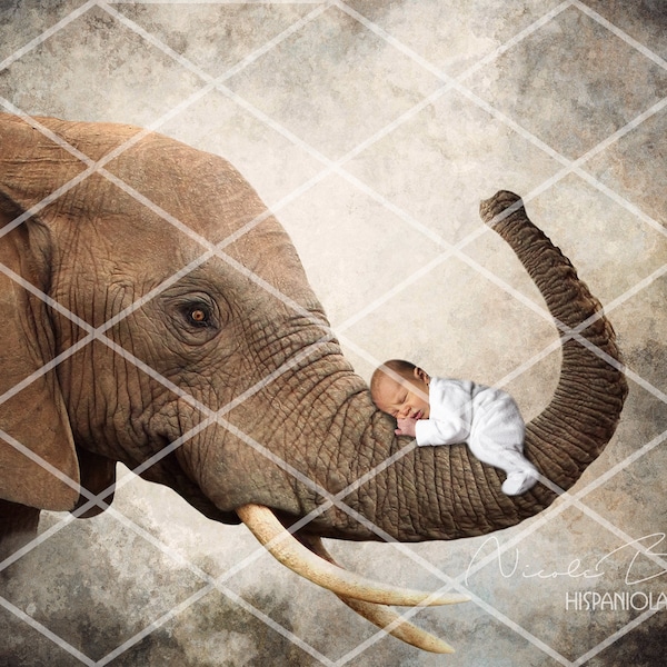 Elephant Backdrop | Newborn Photography | digital Prop Backdrop | instant download