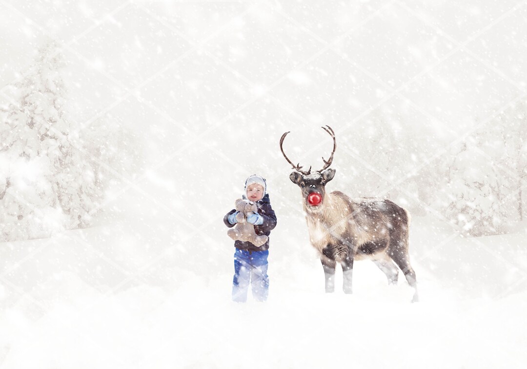 Reindeer Rudolph Background Photography Composites - Etsy