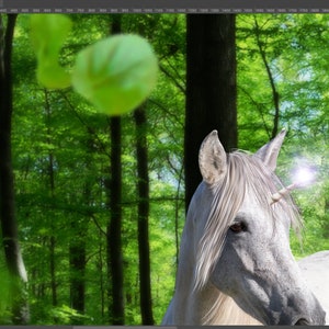 Unicorn in Forest Scene Unicorn Backdrop digital Backdrop Unicorn digital file image 4