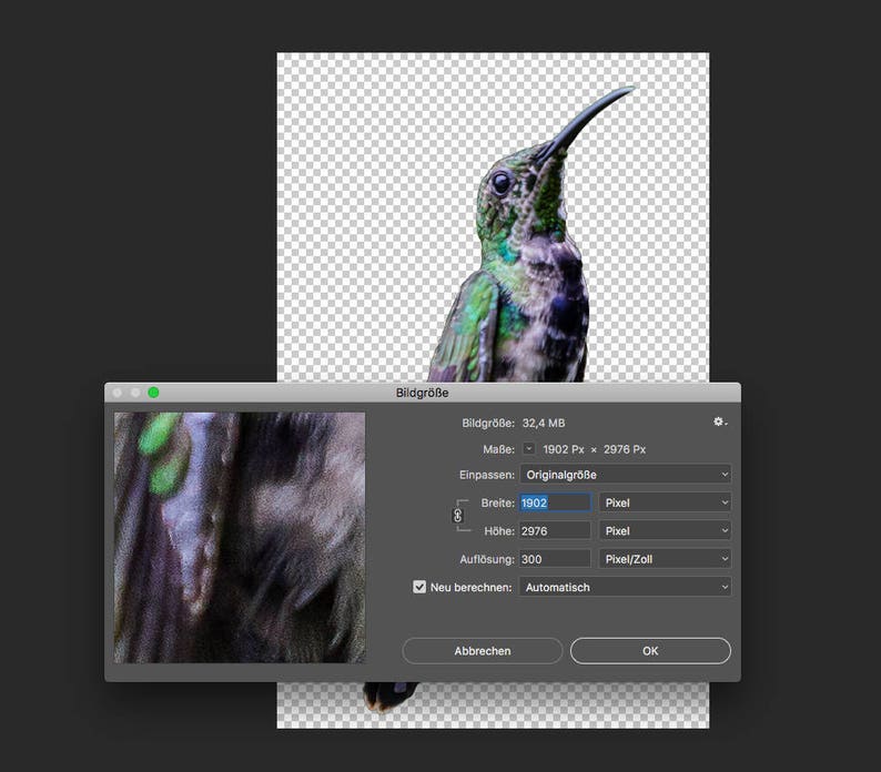 Bird Overlay Bird Photo Hummingbird Overlay 5 Hummingbird PNG