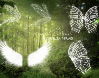 5 magic Fairy Wings | transparent Wings digital | Wings Overlay | digital download