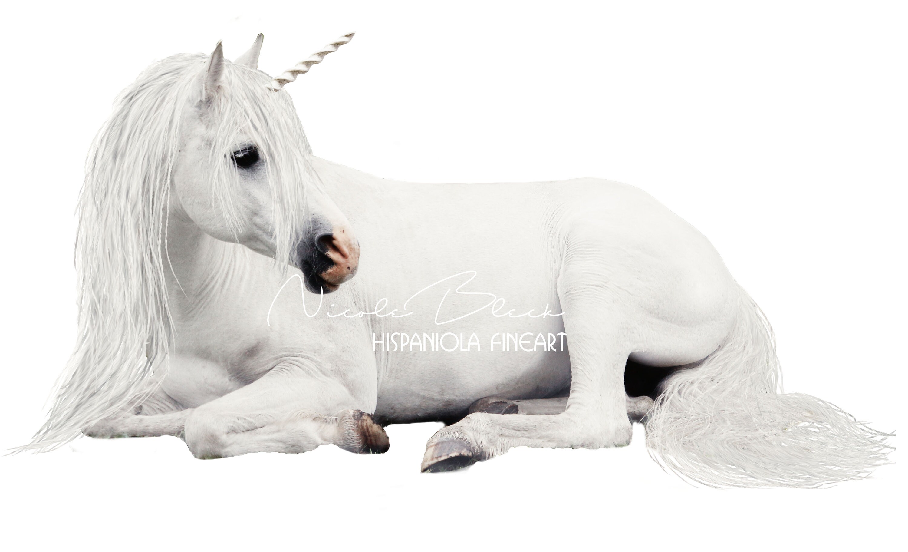 pic Unicorn Pictures Realistic white unicorn unicorn digital overlay realistic unicorn png instant download