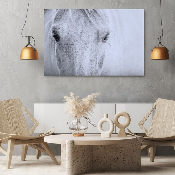 Horse Eyes Photo - Etsy