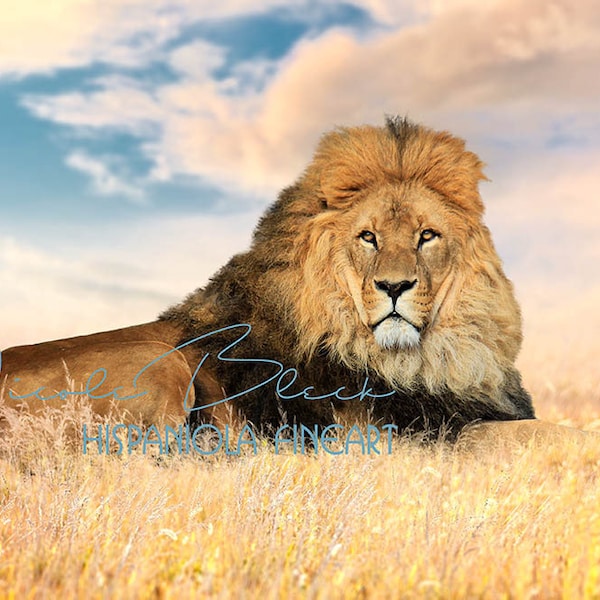 Lion in Grass Backdrop | premade Backdrop | Lion Background | digital download
