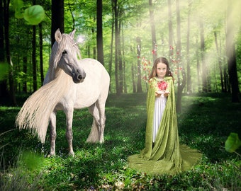 Unicorn in Forest Scene | Unicorn Backdrop | digital Backdrop | Unicorn digital file