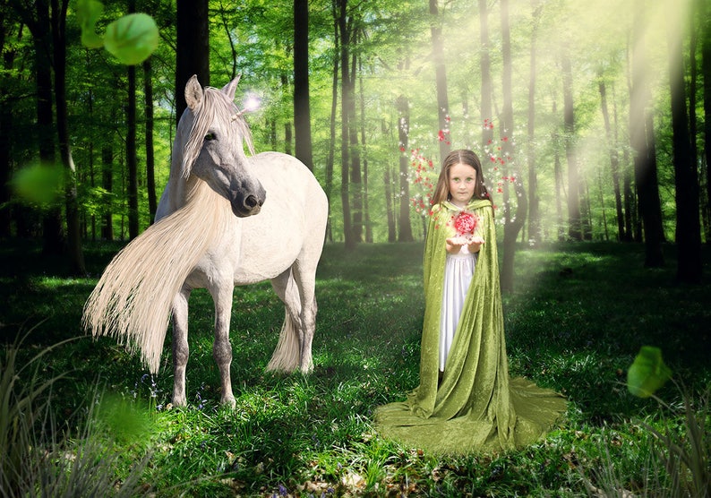 Unicorn in Forest Scene Unicorn Backdrop digital Backdrop Unicorn digital file image 1