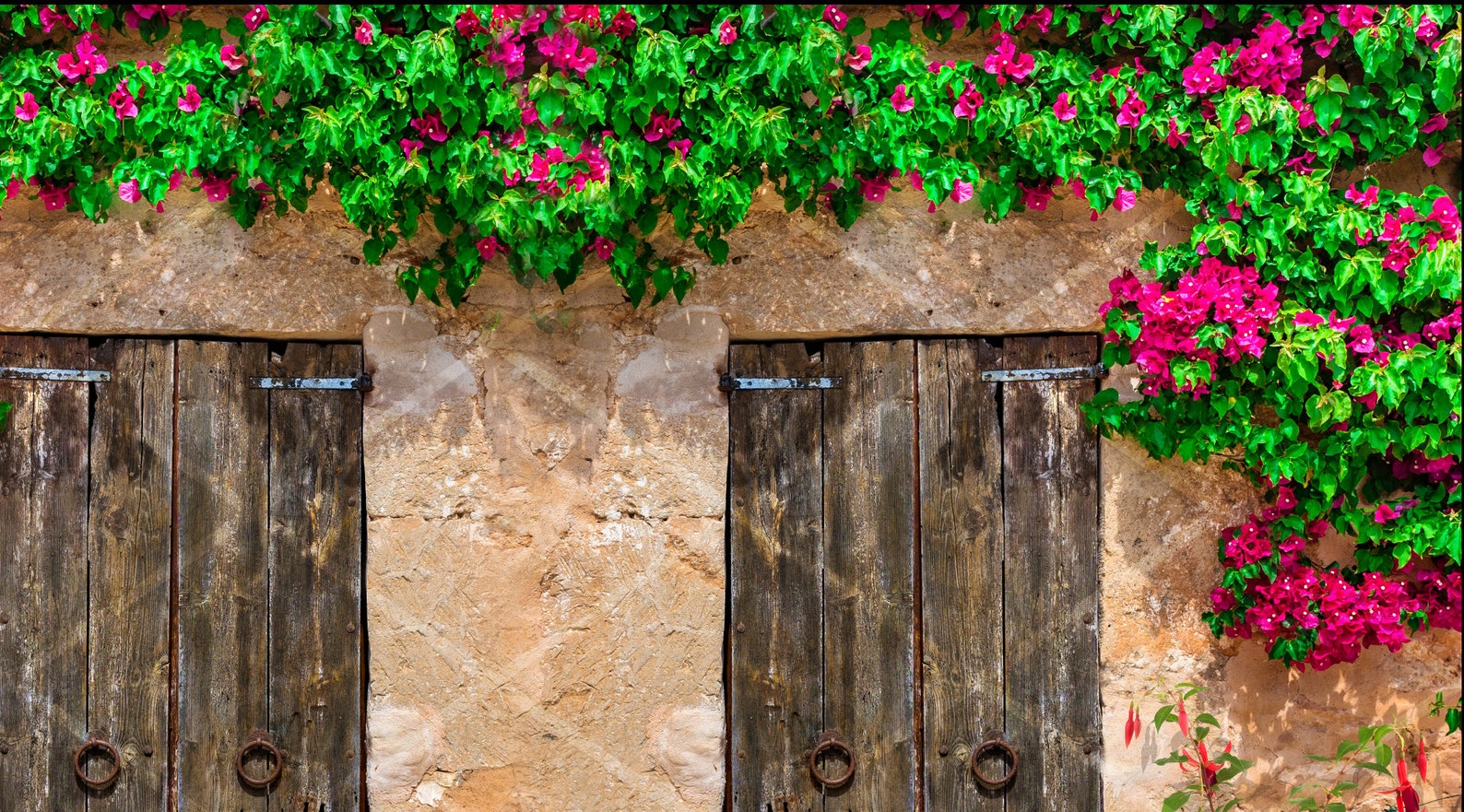 Flower Wall Digital Backdrop Premade Backdrop Digital Etsy