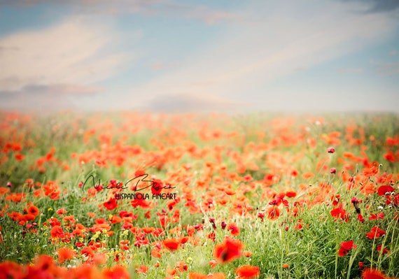 3 Flower Field Background Premade Backdrop Flower Backdrop Etsy