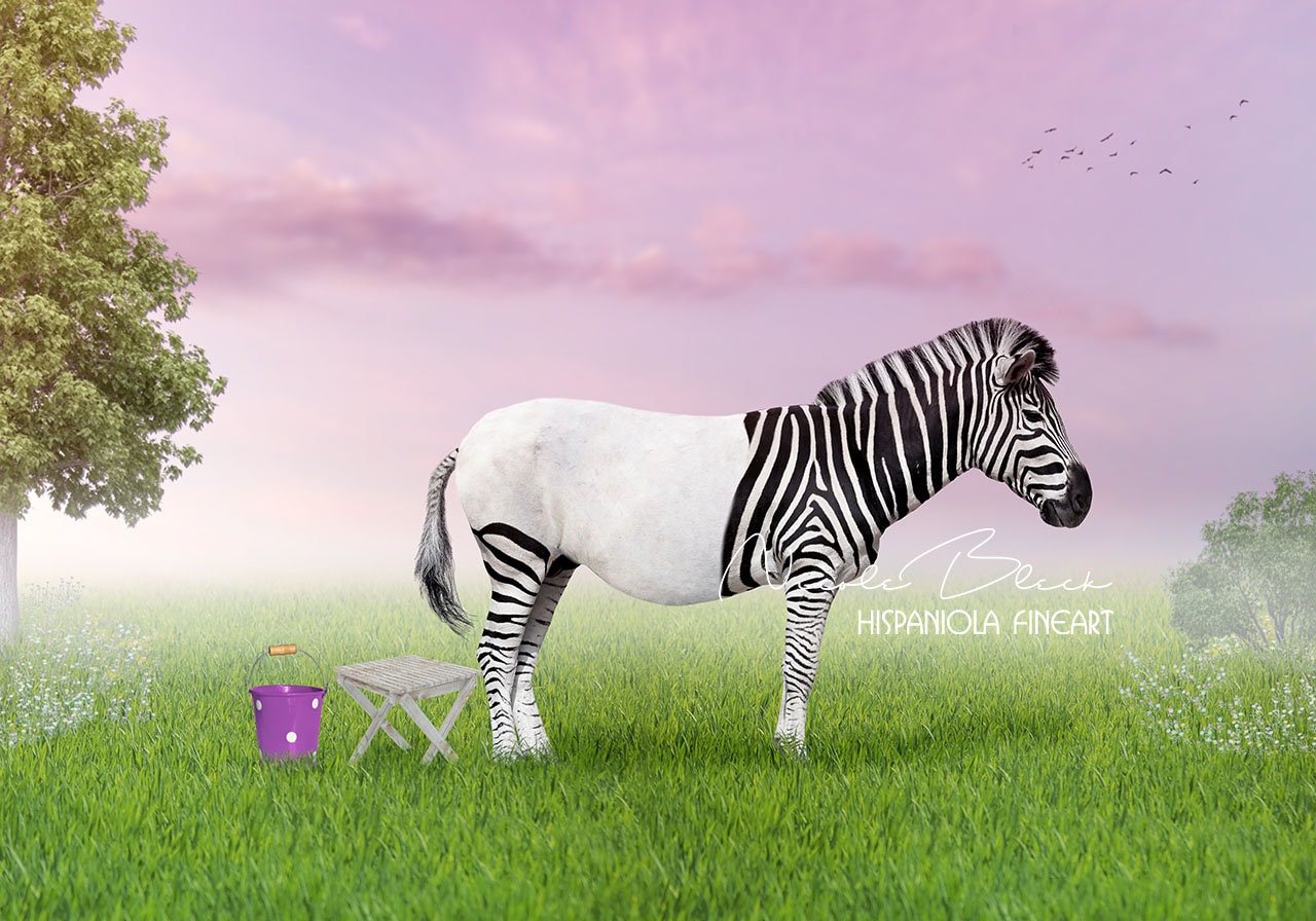 Funny Zebra Background premade Backdrop Zebra Backdrop Etsy