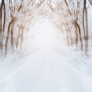 Winter Forest Scene | Winter Backdrop | digital Backdrop | Christmas Backdrop