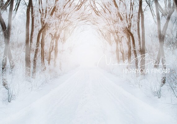 Winter Forest Scene Winter Backdrop Digital Backdrop Etsy