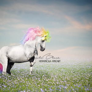 Rainbow Unicorn Scene premade Backdrop realistic Unicorn Backdrop digital download image 1