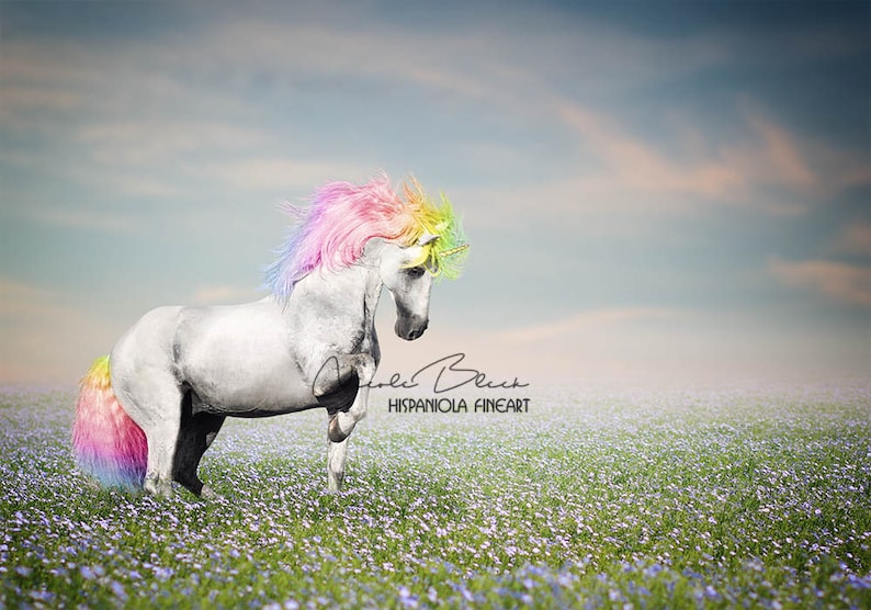 Rainbow Unicorn Scene premade Backdrop realistic Unicorn Backdrop digital download image 1