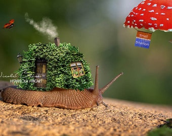 Snail House Scene | premade Backdrop | Snail Backdrop digital | instant download