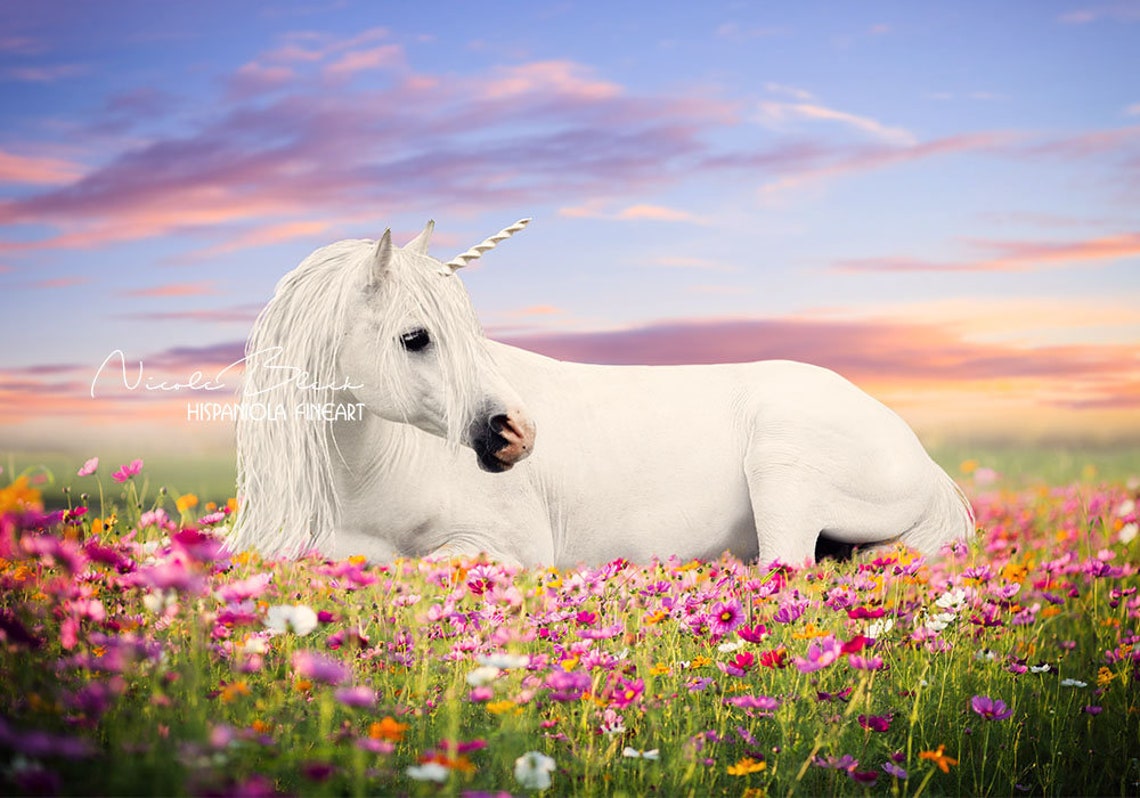 White realistic Unicorn Background Unicorn digital Backdrop | Etsy