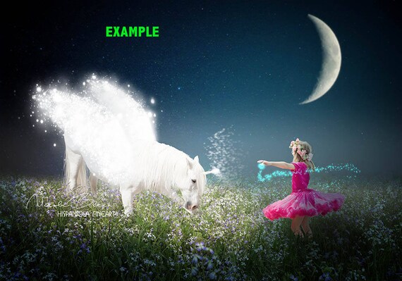 Eenhoorn Met Vleugels Scene Realistische Unicorn Digitale Etsy