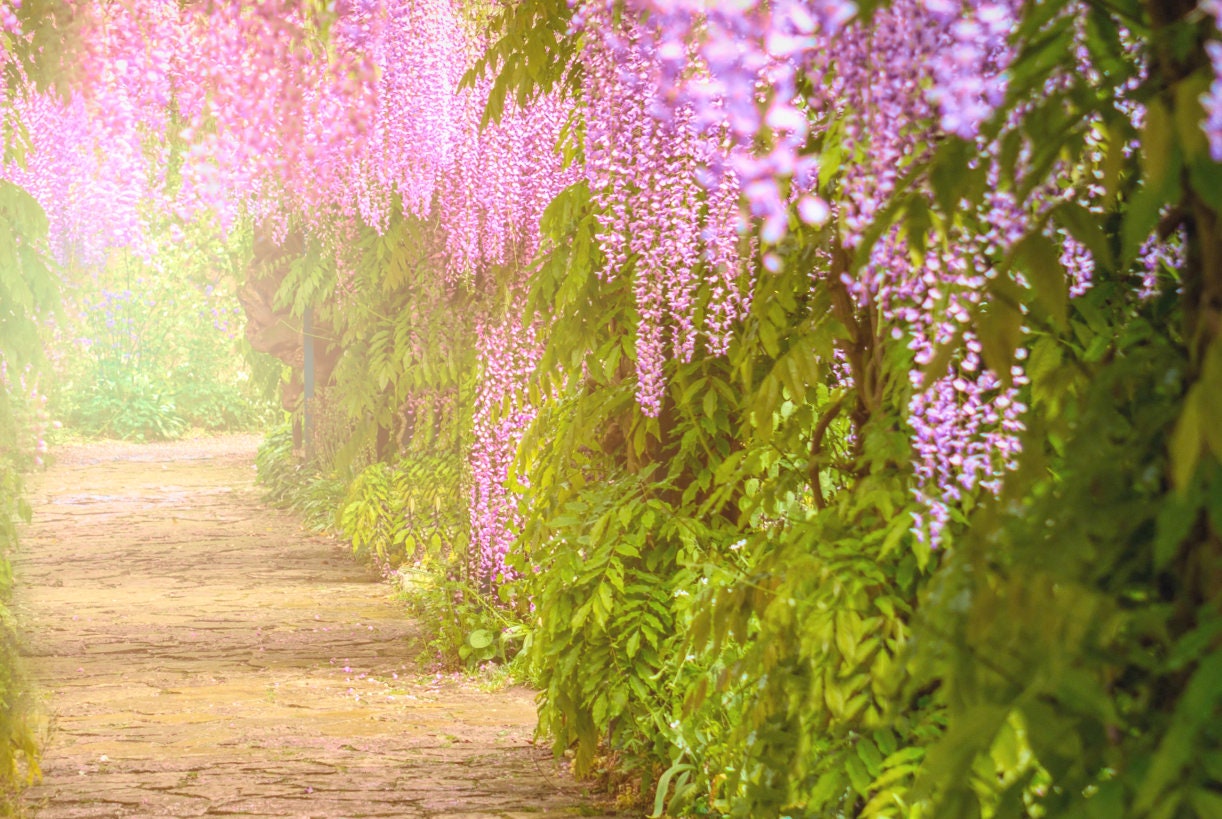 Flower Avenue Flower Tunnel Premade Backdrop Digital Etsy